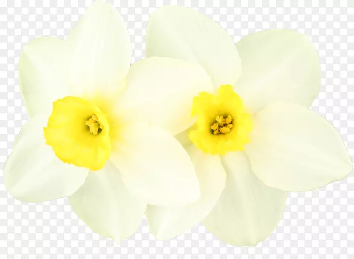 ˮ�ɻ�150������Ĳ���0-���׽�-������