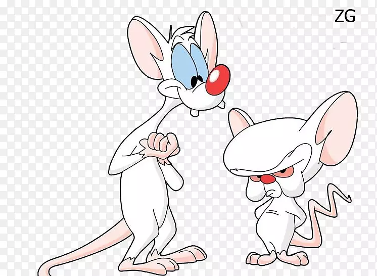 ���ӽ�Ŀ�����ֽ-����-������