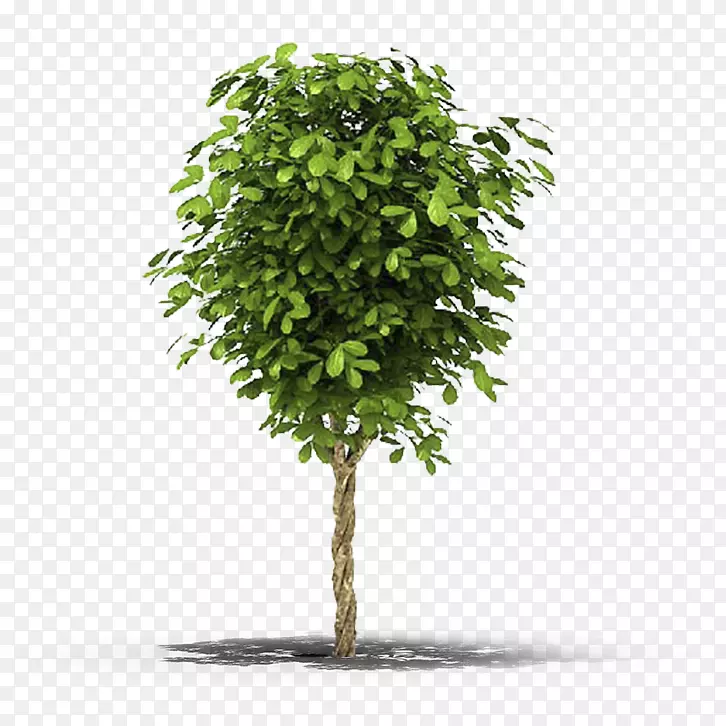 �޻���������������������-������