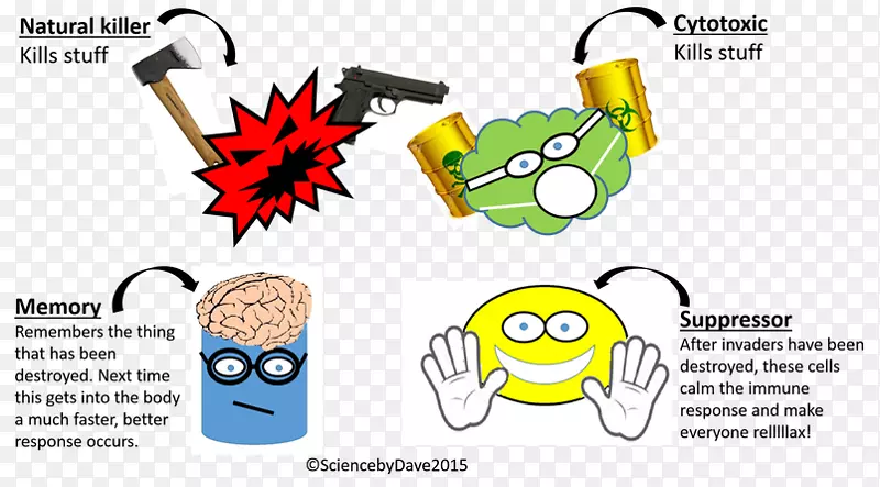 ������tϸ������tϸ����ϸ����Ȼɱ��ϸ������ϵͳ-������