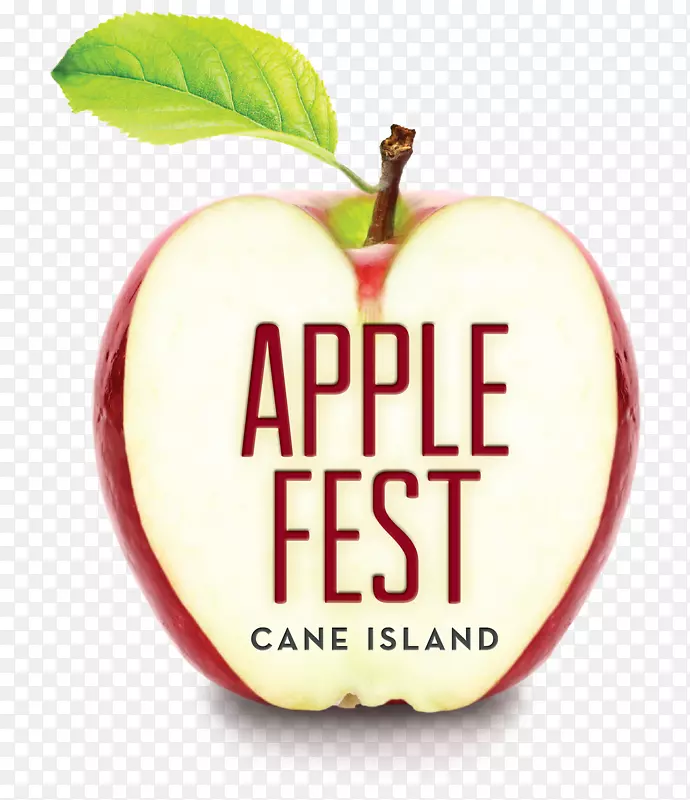 ����ƻ����������-ʮ�½�-������