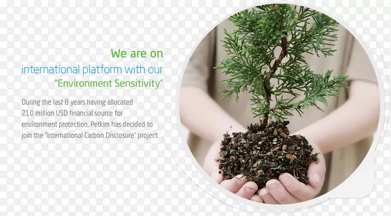 ������-������