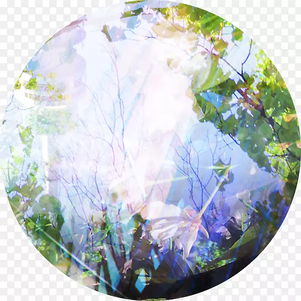 ��ľ��̬������-������