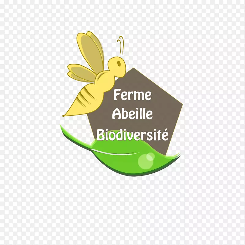 �����̱�-����-������