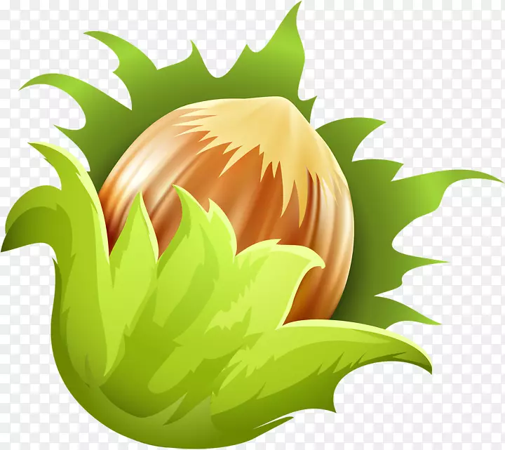 ��Ӻ���-������