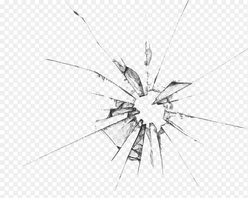 ���׶�����ֱ������������ѷ�-������