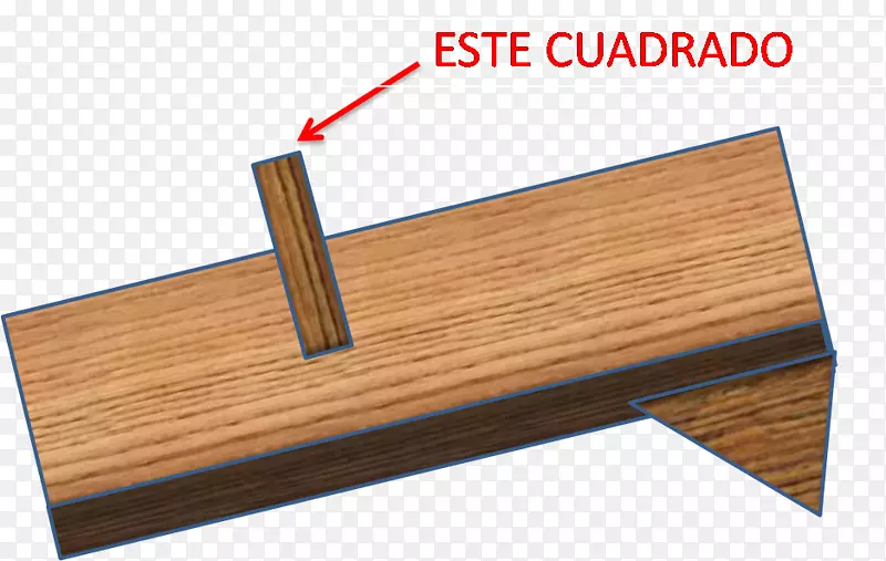 �ذ���ľȾɫ��-������