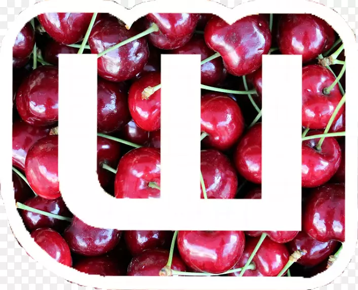 ӣ�ҳ���ʳ����Խݮƻ��ӣ��-������