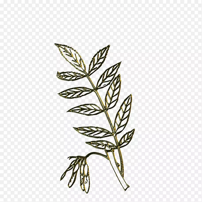 �⾰gimp��Ⱥ����-Ҷ-������