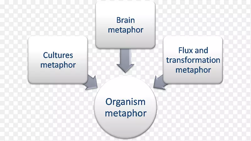 ��֯������ѧ�����쵼-������