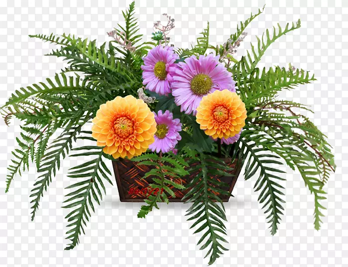 ��������л���������-��-������