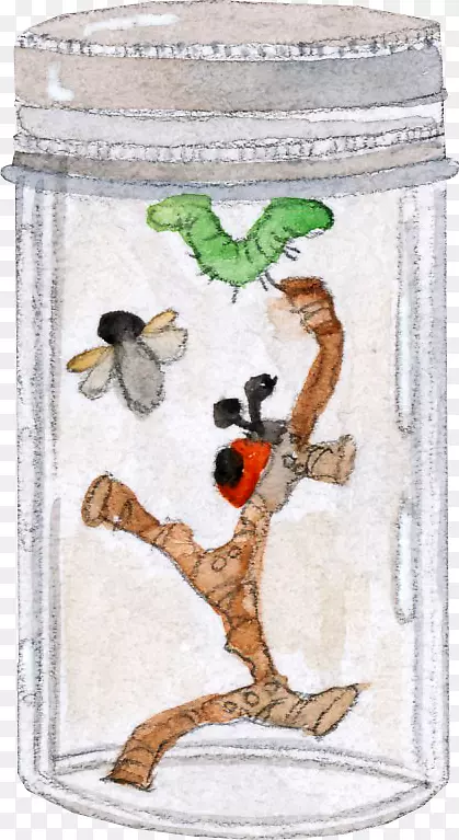 ���涯������-ƿ��-������