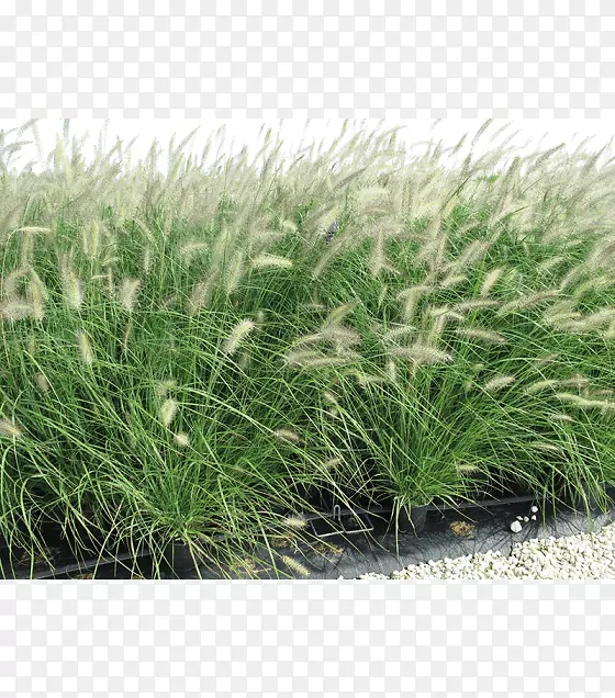 ��������-������