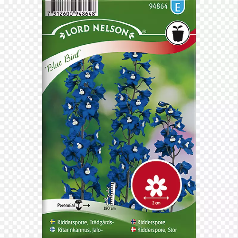 ���Ӻ��۾���ɺ����ɫ���컨-������