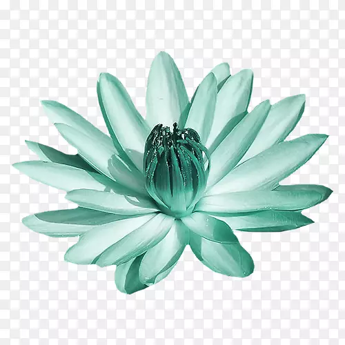 ��ɫ����ʯ-������