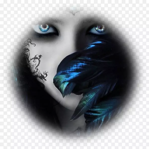 ���ֻ���������-������