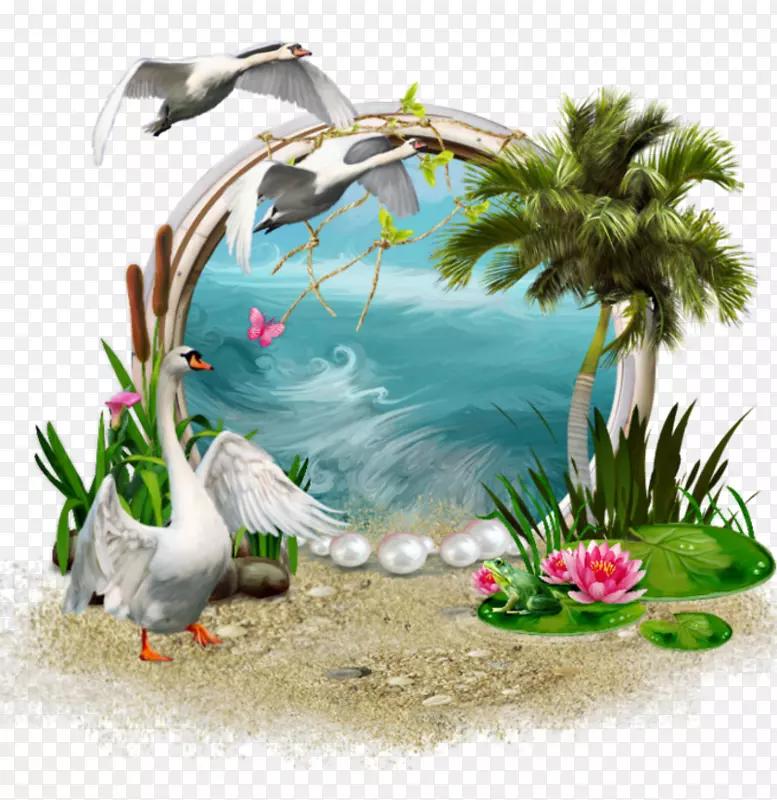 ���ͼ�����-������