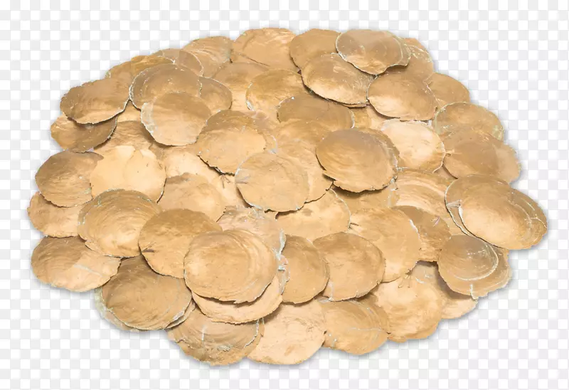 ����-����-������