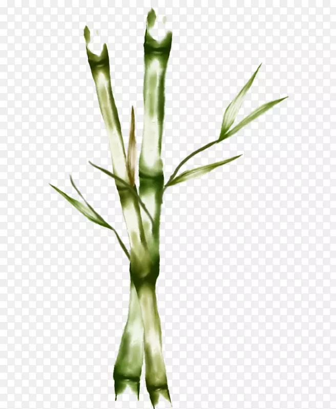 ֲ�ﾥ��h&m��Ʒ��-������