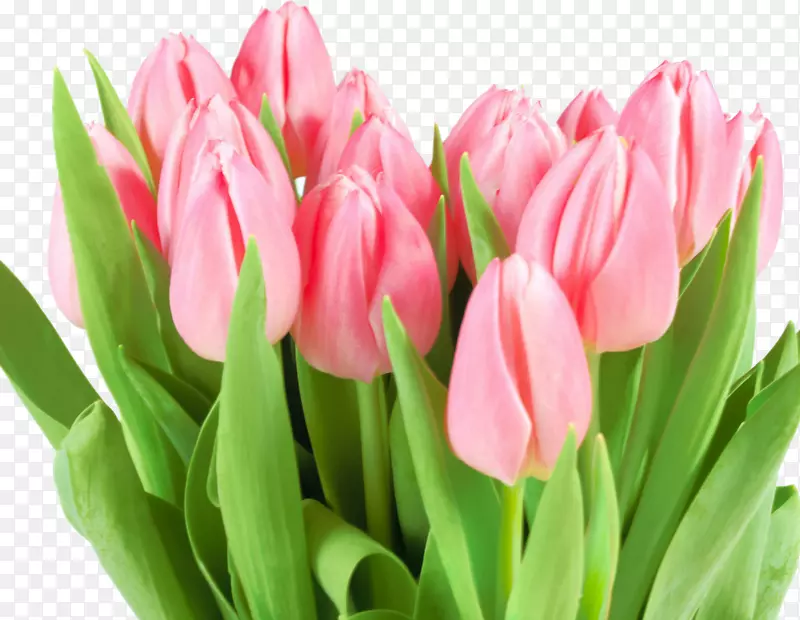 ��ƾ��������������-������