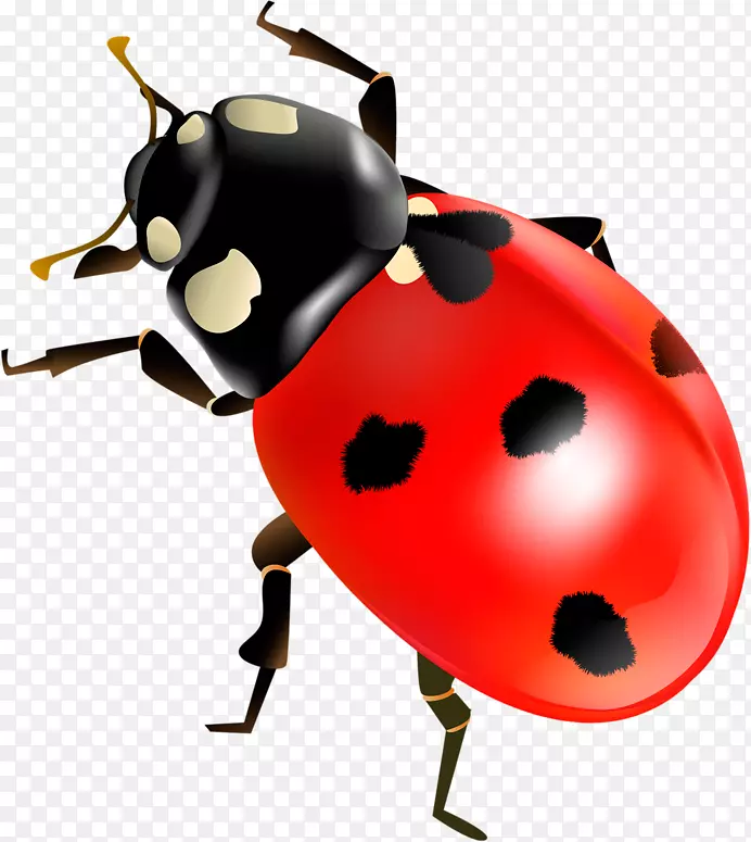 ����ư�����������.ư��-������