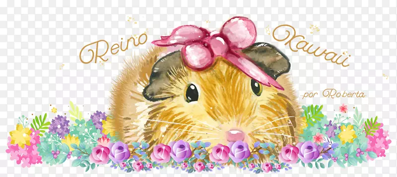 ���벩��-Ů���ֶ�-������