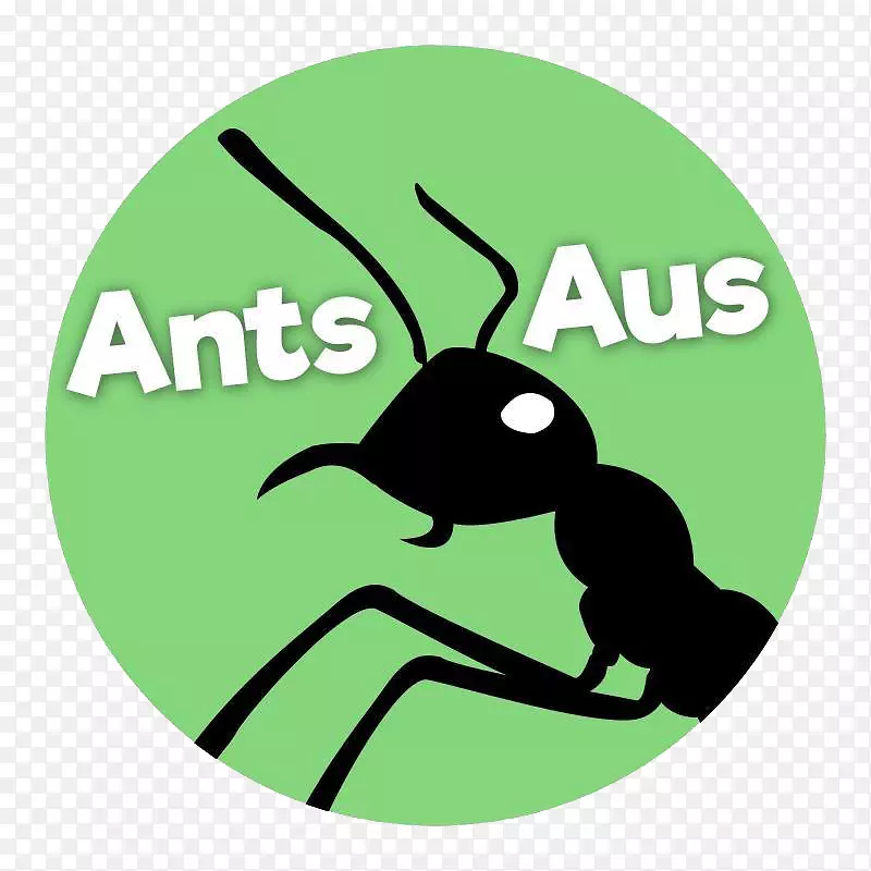 ����͢����Aus����-������-����-������