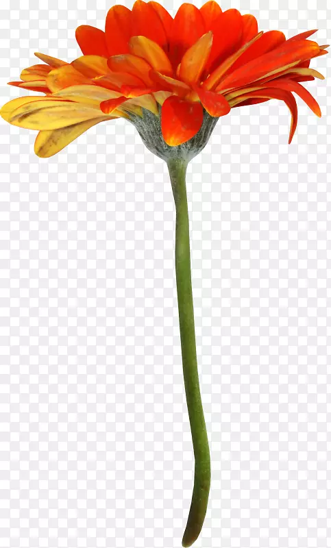 �����л����껨-������