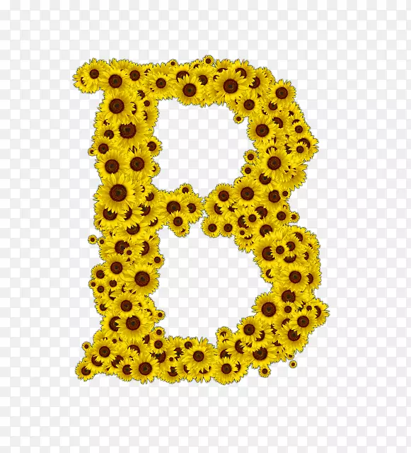 �����鱦����.��ĸ������-������