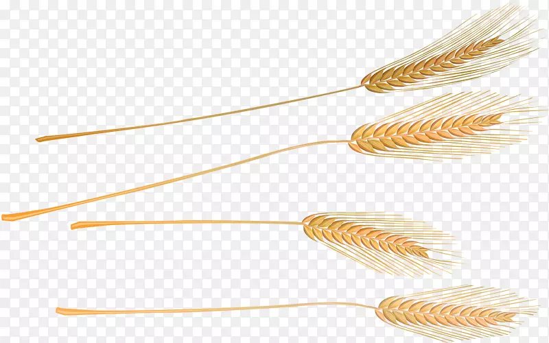 ��Ʒ��-�ƽ�С��-������