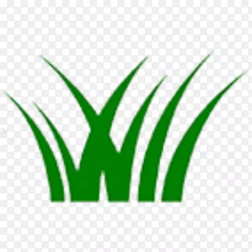 Ҷ���ֲ�ﾥ����Ҷ-������