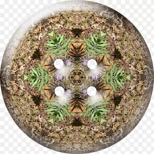 ������-��-������