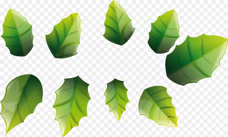 ���ղ��͸��׽����-������