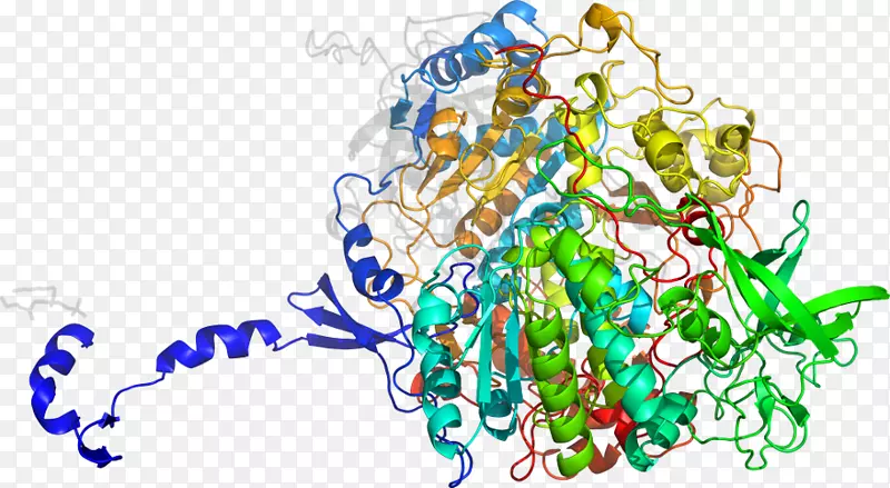 �ߵ������-��-������