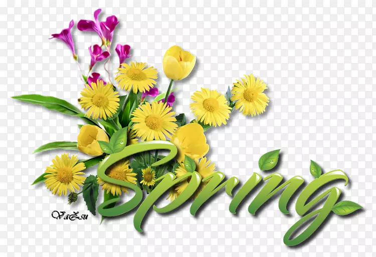 ��������л�����-������