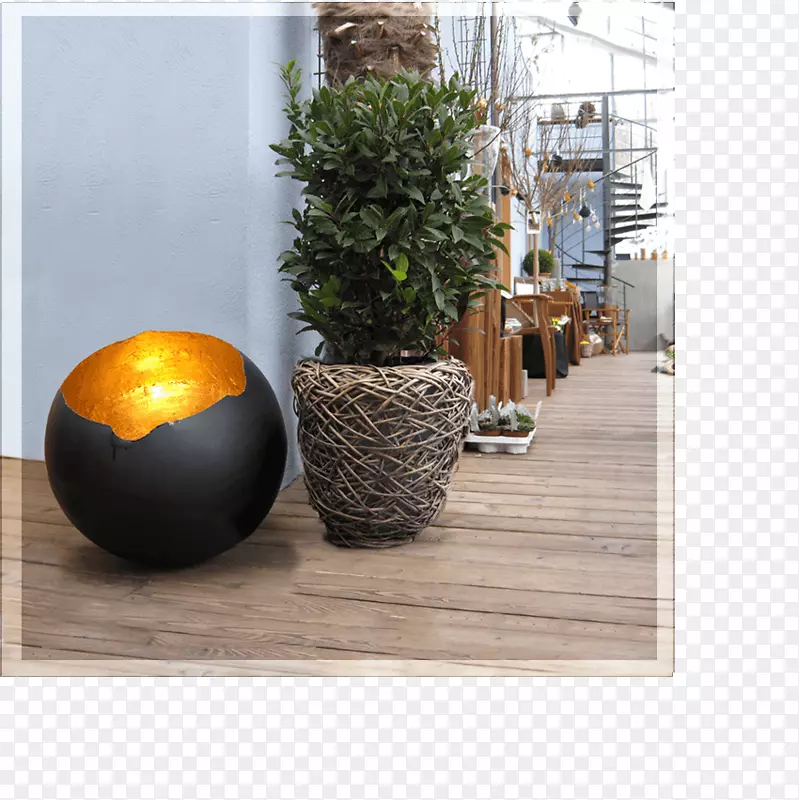 ��ƿ-������