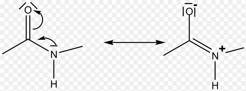 �ļ�����ѧ����Ϣ.����-������