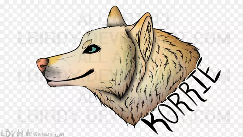 Ȯ�ֺ��룬���ӣ�������-��-������