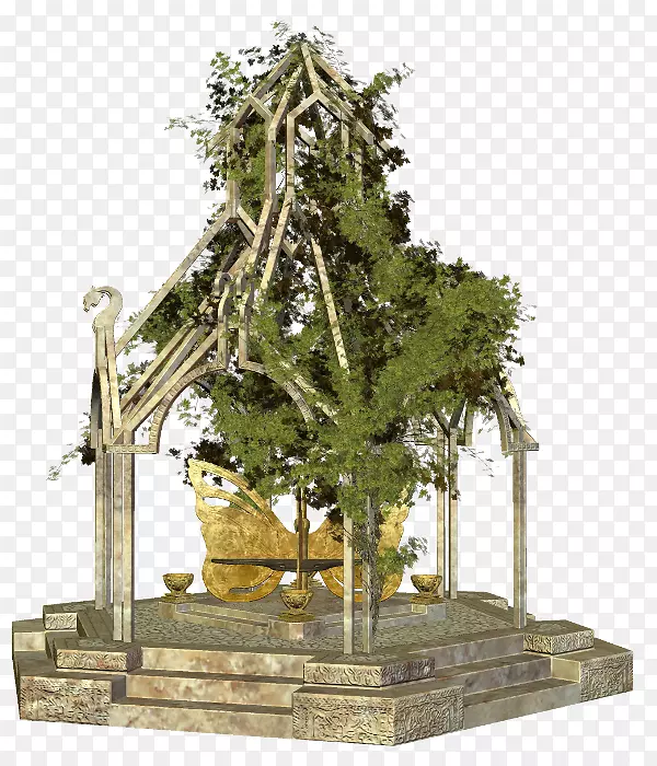 ������ֲ��-��-������