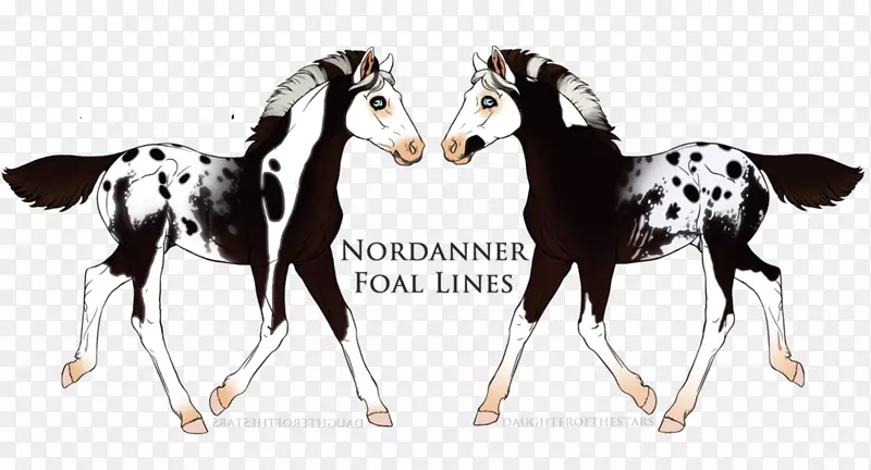 ��Ұ������-��-������