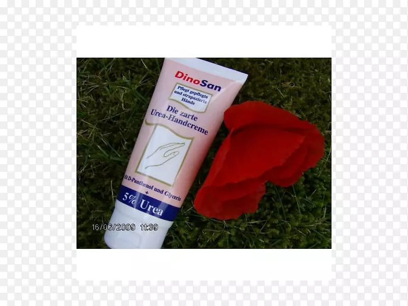 �������-ͼ��-������