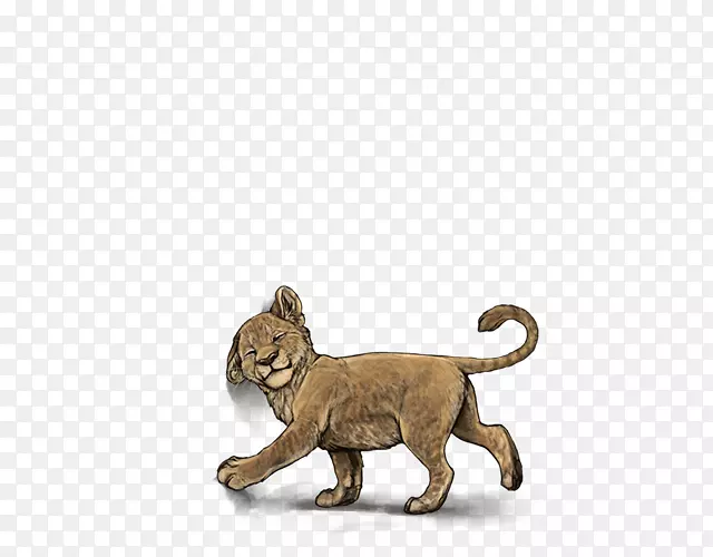 ʨ�Ӵ�è½����������ʨ-������