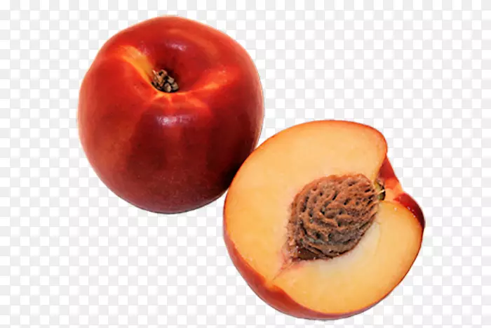 �۹���̫��������ʳƷˮ��ɳ���߲�-������