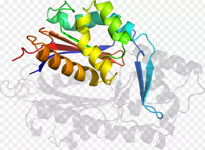 ����ͼ����ƴ���������������-������