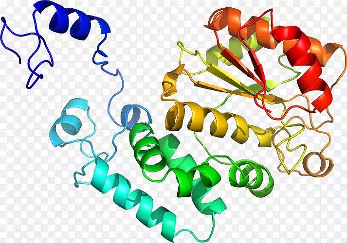 ���������л����߼�������-������