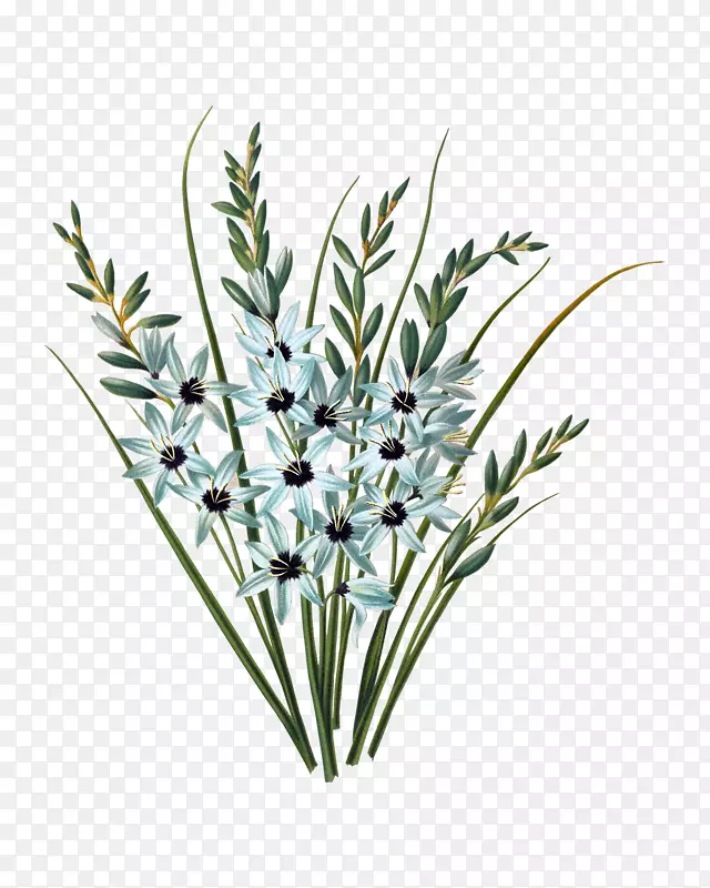 ��װPostScript tiff-tiff-������