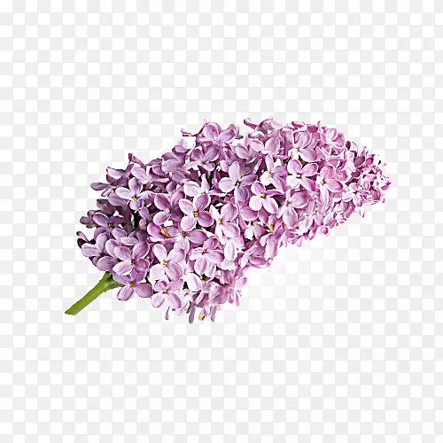 �϶���޹�²��л�-����-������