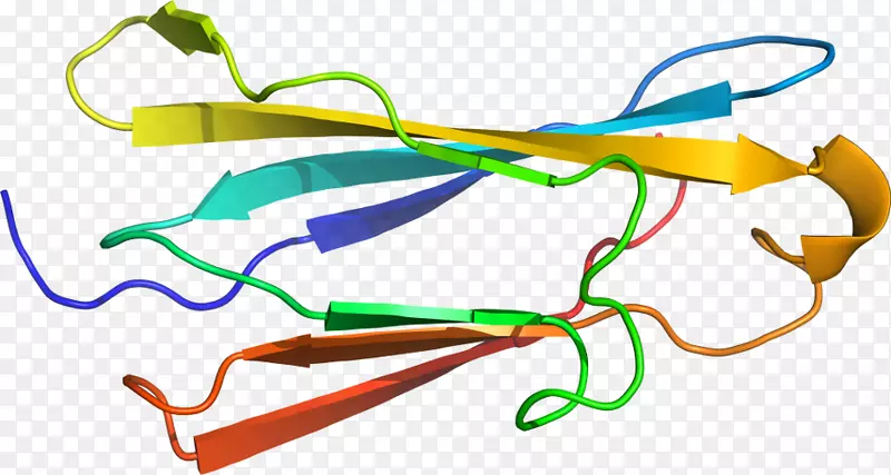 �ߵ������-��-������