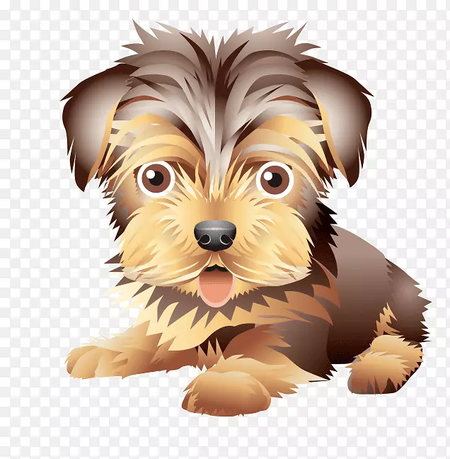 Լ�˿���ȮMorkie�Ĵ�����˿ë��Ȯŵά����Ȯ-С��-������