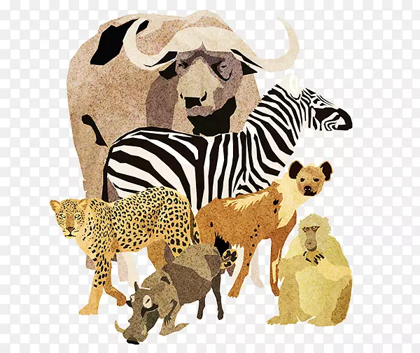 �Ա���èҰ�������Ա�-������